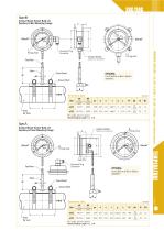 Special Type Thermometer - SRG/SHG-2