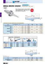 BDV / DV shank-2