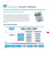 Smart grid distribution and smart meters - 5