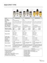 SQ Pressure Switch-2