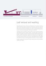 LEAF REMOVAL & WASHING-6