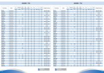 Product Shortform-38