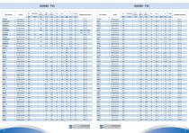 Product Shortform-39