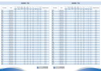Product Shortform-40