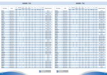 Product Shortform-42