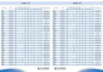 Product Shortform-45