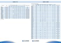 Product Shortform-53