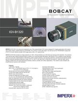1 Megapixel HD GigE Vision (IGV-B1320)-1