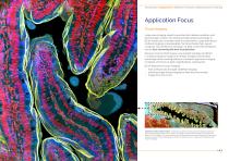 BC43 The Ultimate Benchtop Microscope Family - 5