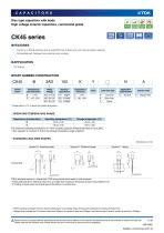 CK45 series-1