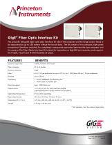 GigE® Fiber Optic Interface Kit - 1