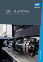 STM Jet 4200. 45 - high-pressure pump-1