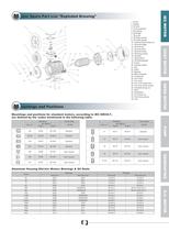 MS Series 3-Phase Aluminum Housing Motors - 2