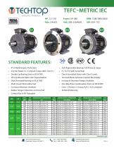 TEFC–METRIC IEC - 1