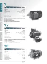 Y-Y2-TE Series 3-Phase Cast Iron Induction Motors - 1