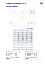 SR20 Cylinder for oil hydraulics-11