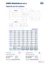 SR20 Cylinder for oil hydraulics-7