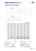 SR20 Cylinder for oil hydraulics-8