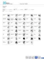 SPS-Stair and Platform System 4.2 - 13