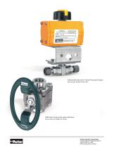 Ball and Plug Valves - 2