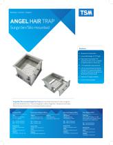 Angel Hair Traps-2