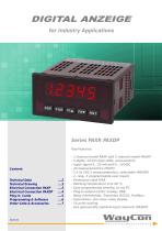 Position Display PAXDP analog input signal-1