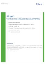 General Datasheet PB1000-1