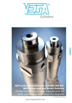V260CF - Self Locking Rod Hydraulic Cylinder 260 Bar, With Integrated End Stroke Switches-1