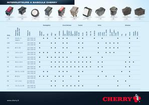 CHERRY ROCKERS - PARAMETRIC SHEET-1