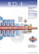 Pumps for Oilfields and Pipelines - 13