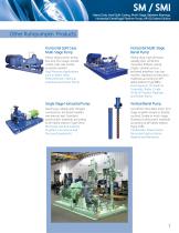 SM/SMI - RUHRPUMPEN - PDF Catalogs | Technical Documentation | Brochure