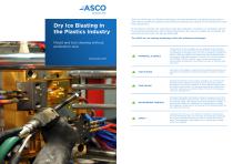 Application_ASCO_DIB_Plastics Industry-1