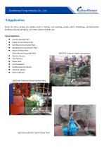 EZ Series Slurry Pump-6