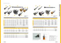 Brushes with Shank-7