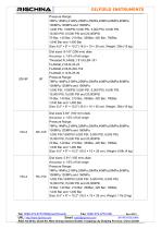 MUD PUMP PRESSURE GAUGES - 10