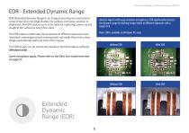 General Dino-Lite Brochure 2025-6