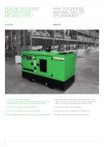 NATURAL GAS AND LPG GENERATING SETS-6