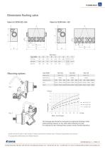 Flushing Valve-2