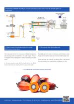 Palm Oil-2