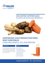 Root Vegetables-1