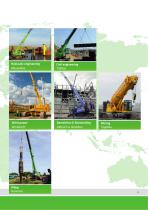 Telescopic Cranes-13