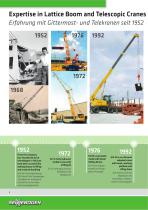 Telescopic Cranes-8