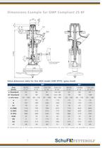 Disc Bottom Outlet Valve - 7