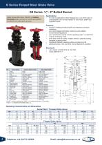 Eagle Bellow Globe & Gate Valves-4