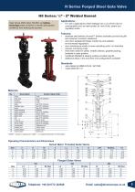 Eagle Bellow Globe & Gate Valves-5