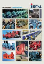 End suction pumps according to DIN 24255 Serie RN-RNI 60 Hz-2
