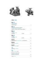 End suction pumps according to DIN 24255 Serie RN-RNI 60 Hz-3