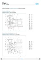 End suction pumps according to DIN 24255 Serie RN-RNI 60 Hz-43