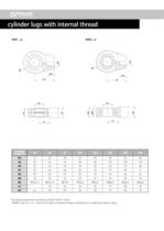 Hydraulic Cylinders-9