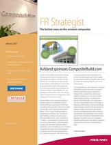 FR Strategist 2011-1